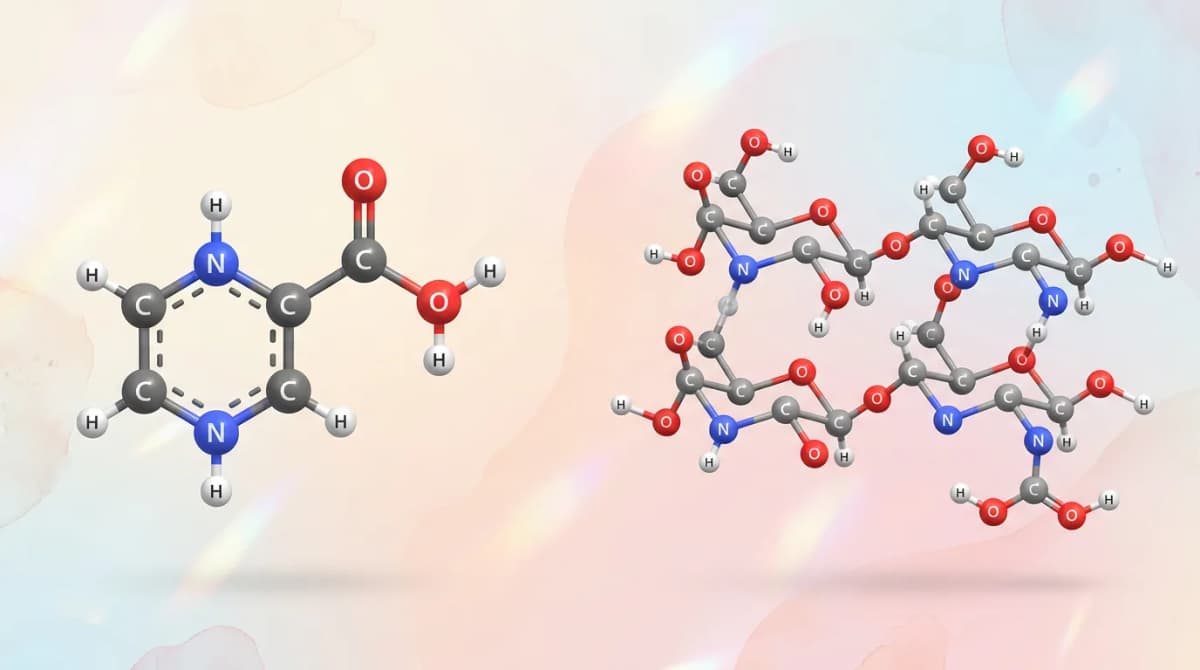 Visualisasi struktur molekul ilmiah dari molekul niacinamide dan hyaluronic acid berdampingan, latar belakang pastel bersih, gaya ilustrasi ilmiah minimalis